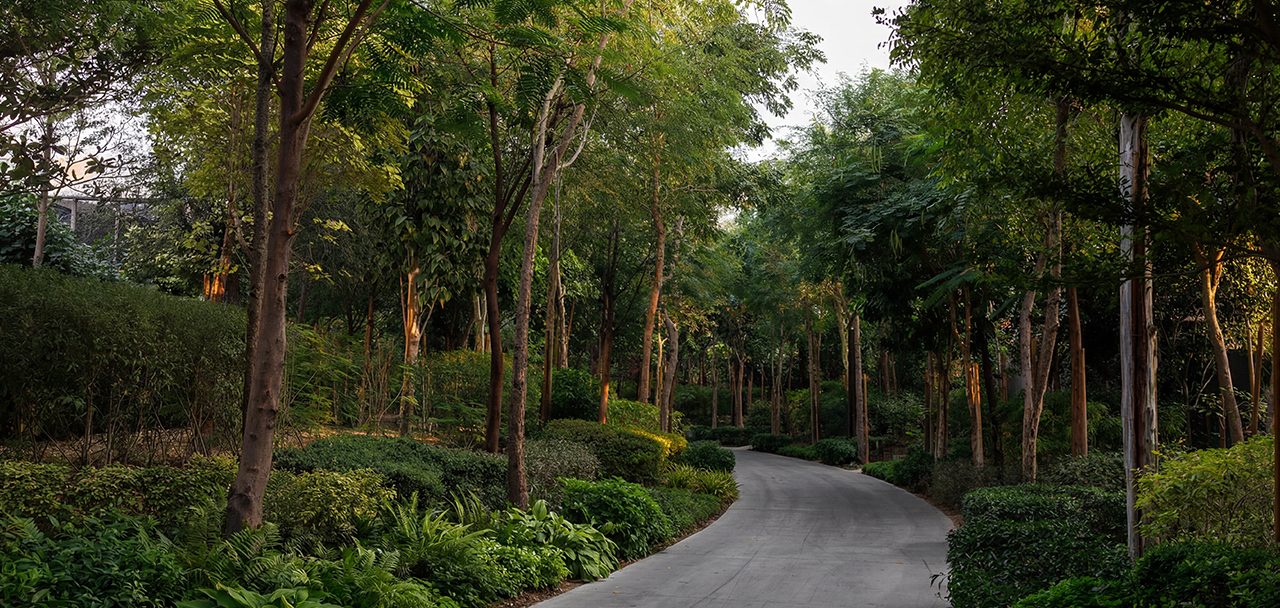 Arada launches fifth phase of Sharjah’s Masaar 3, the UAE’s bestselling forest community