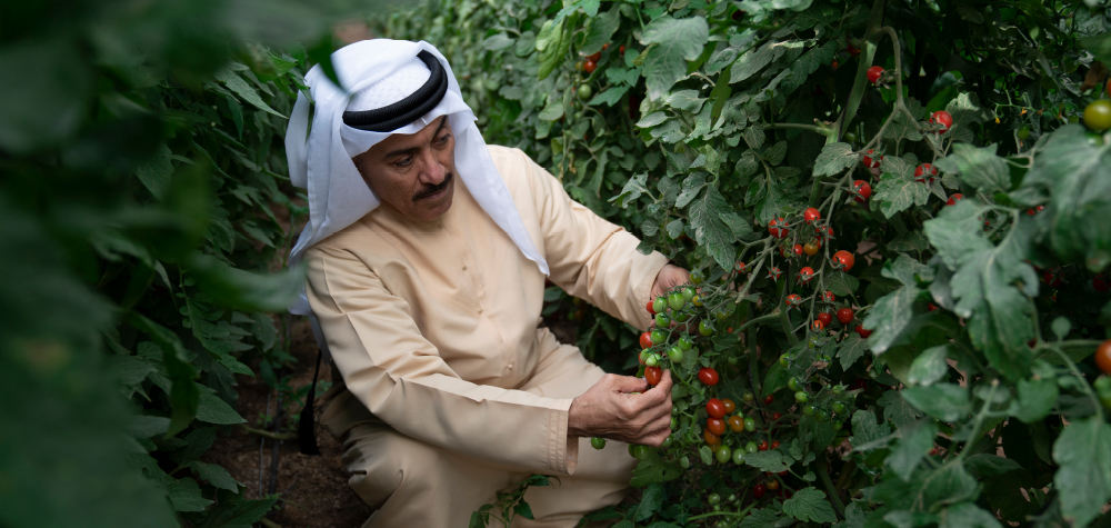 مهرجان الحصاد بمدينة إكسبو في دبي