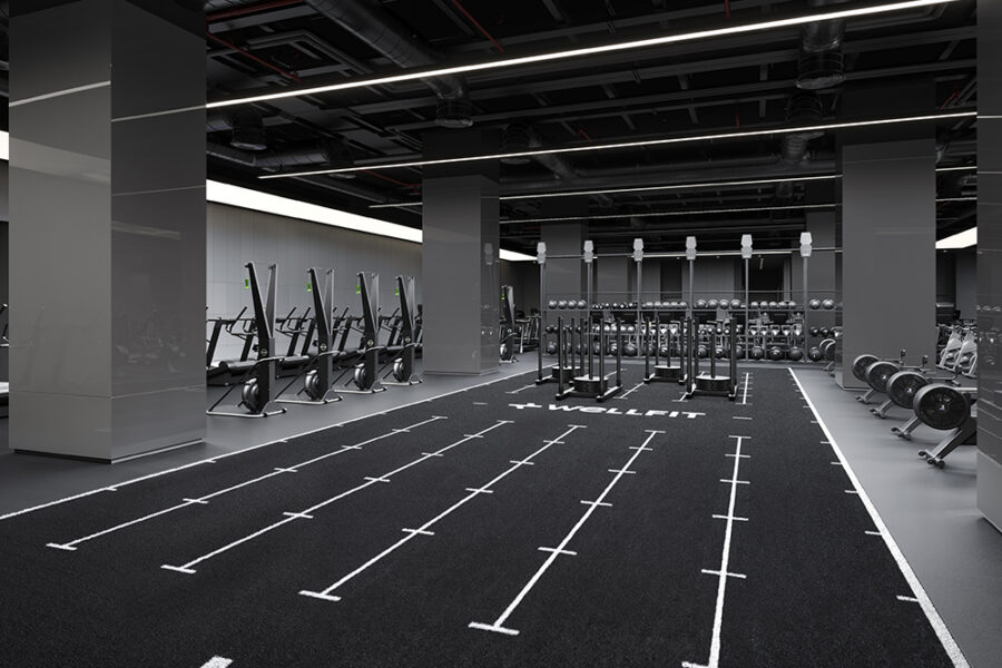 Wellfit image